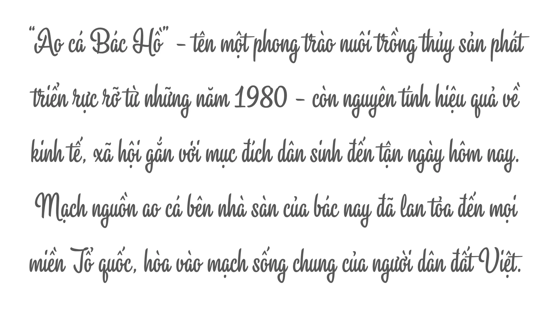 Di sản văn hóa Bác Hồ