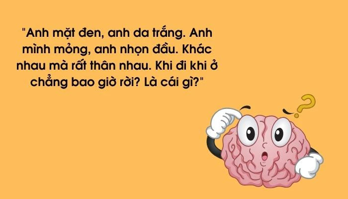 Câu Đố Thú Vị