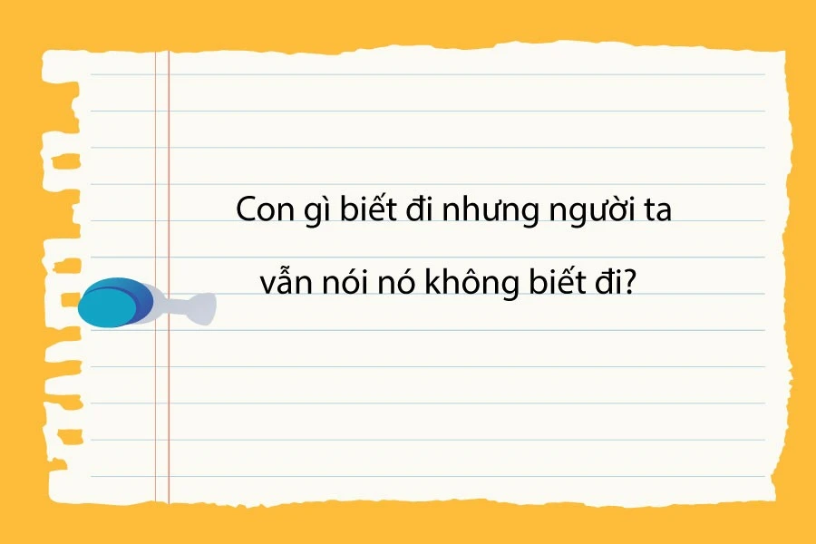 Câu đố động vật