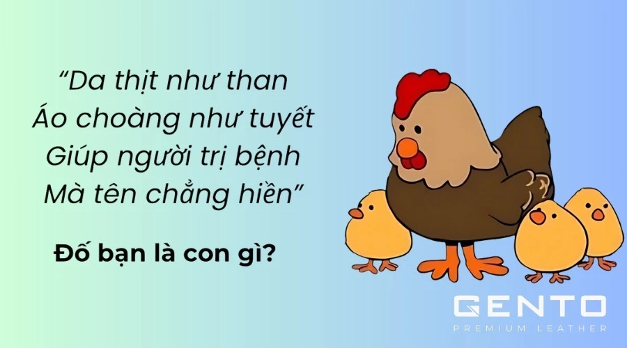 Câu đố về đồ vật