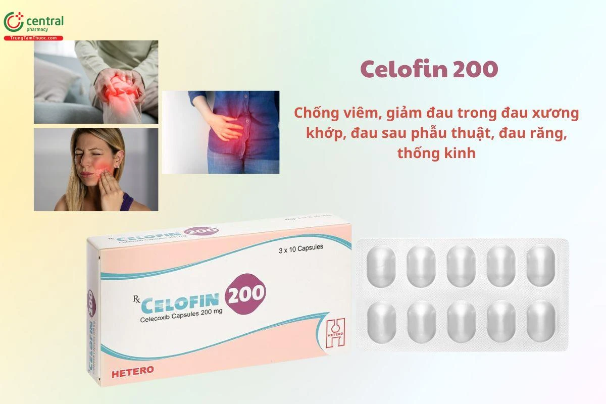 Hình ảnh sản phẩm Celofin 200 chi tiết