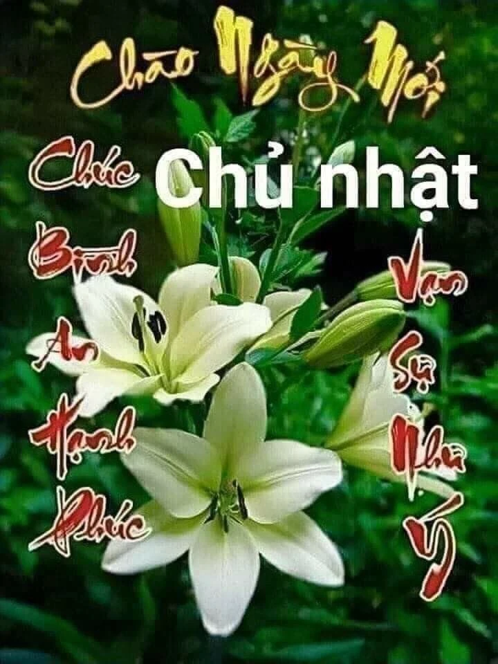 Thiên nhiên tuyệt đẹp