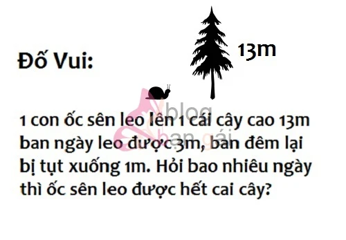 Câu đố vui