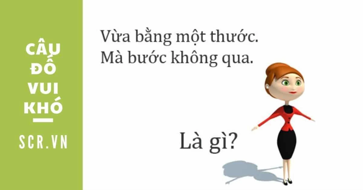 Câu đố vui hại não