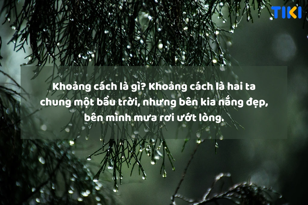 Mưa và tâm trạng