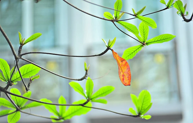 Bầu không khí mùa thu