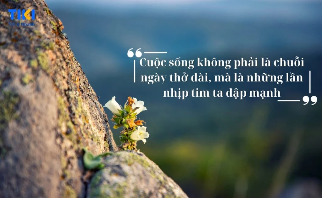 Câu nói hay về cuộc sống đơn giản