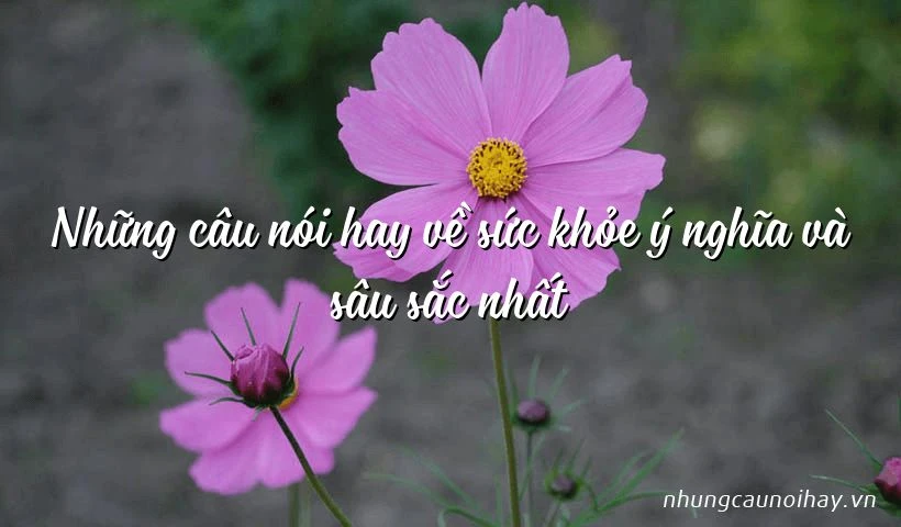 Câu nói hay về sức khỏe