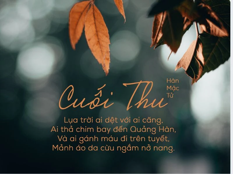 Tâm Trạng Trong Mùa Thu