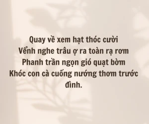 Tình yêu qua từng câu thơ