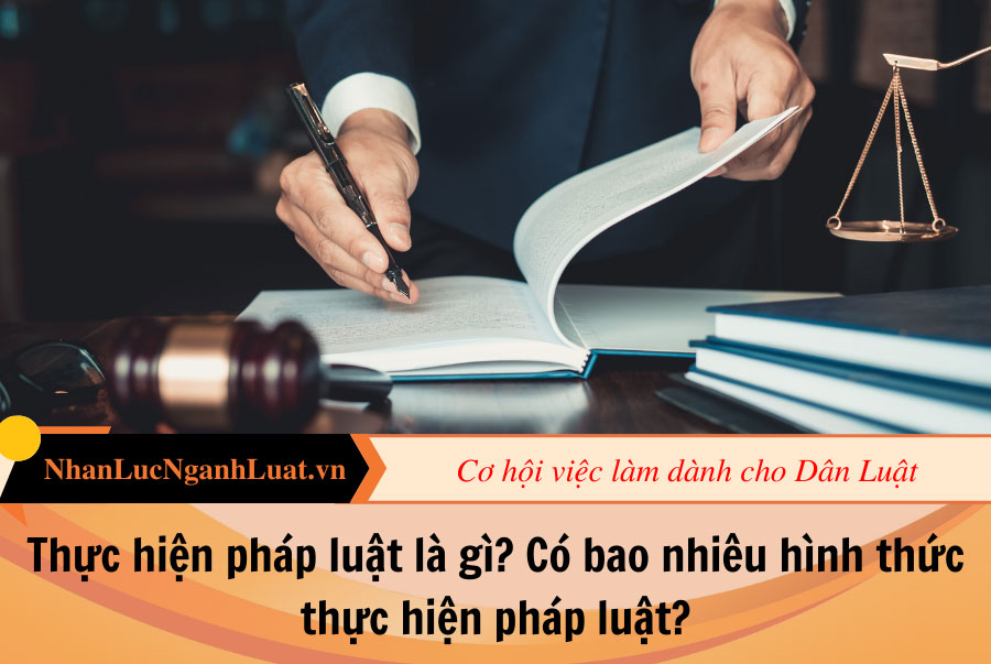 Thực hiện pháp luật là gì? Có bao nhiêu hình thức thực hiện pháp luật?