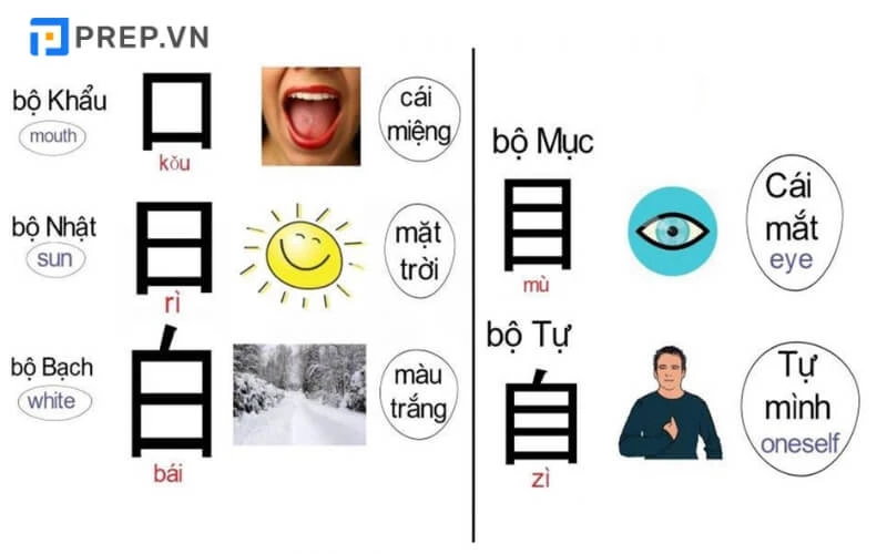 Bộ thủ tiếng Trung là gì? 214 bộ thủ tiếng Trung chi tiết