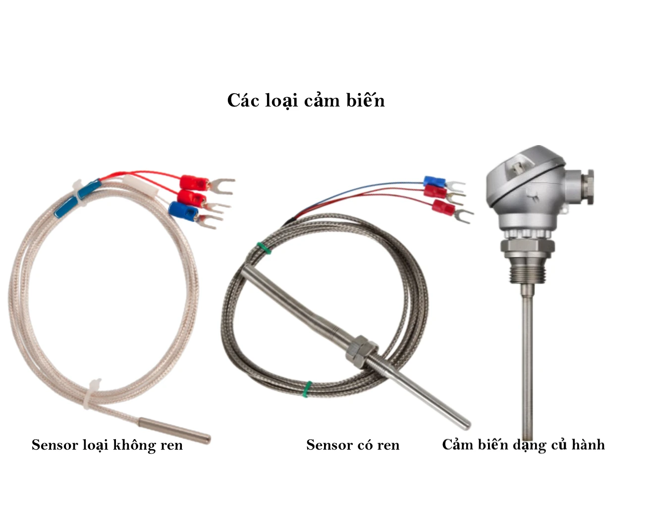 Cảm biến nhiệt là gì? Nguyên lí hoạt động, ứng dụng, lưu ý khi sử dụng