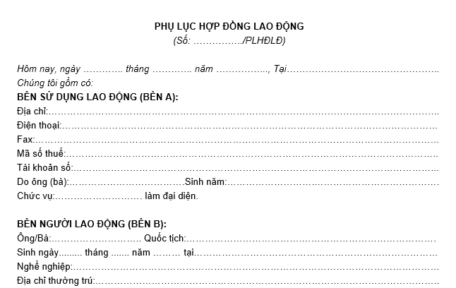 Mẫu phụ lục hợp đồng năm 2024