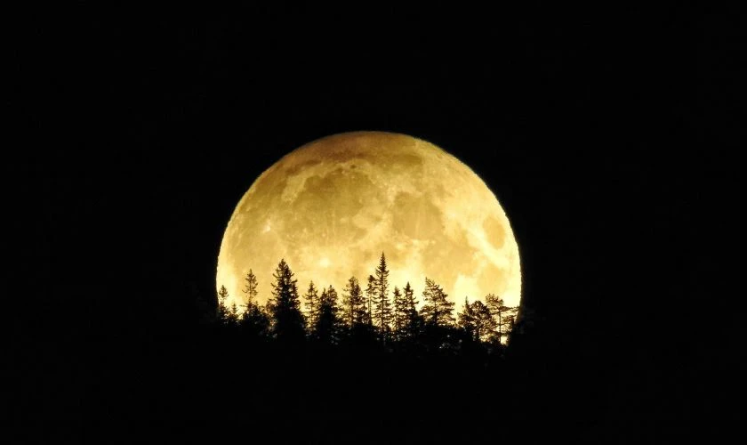 99+ hình ảnh Tết Trung Thu đẹp và ý nghĩa nhất 2024