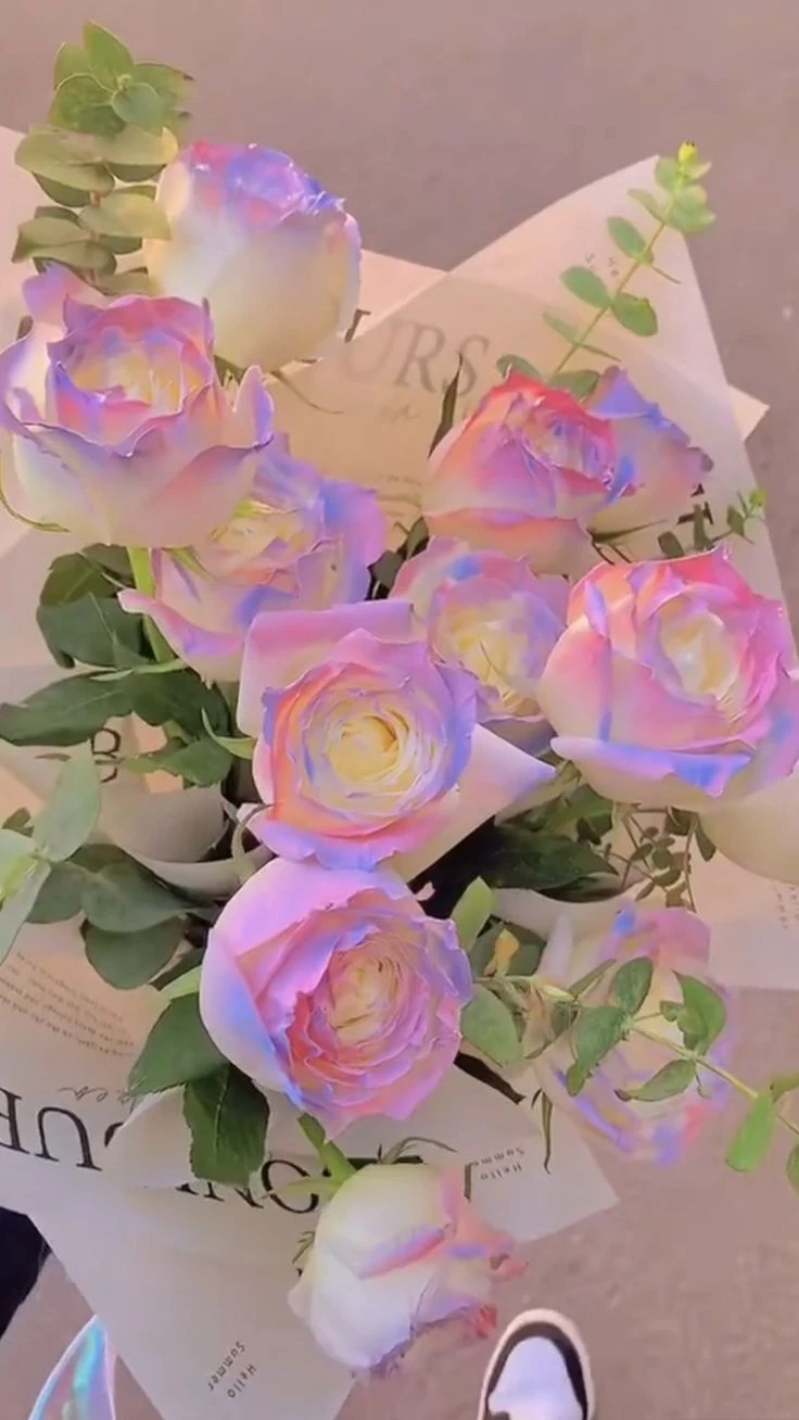 Top Những Mẫu Ảnh Thiên Nhiên Đẹp Nhất Chuẩn Full 4K