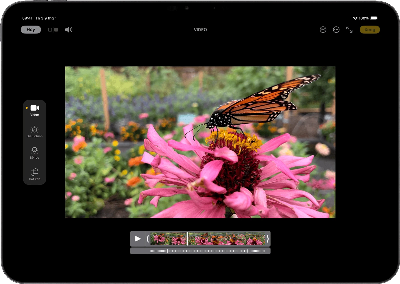 Cách chỉnh sửa video trên iPhone, iPad, máy Mac hoặc Apple Vision Pro