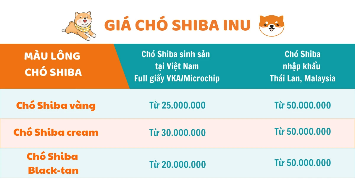 Chó Shiba bao nhiêu tiền? Giá Chó Shiba thuần chủng 2024