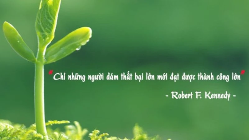 Câu nói hay về nghề nghiệp giúp bạn định hình bản thân