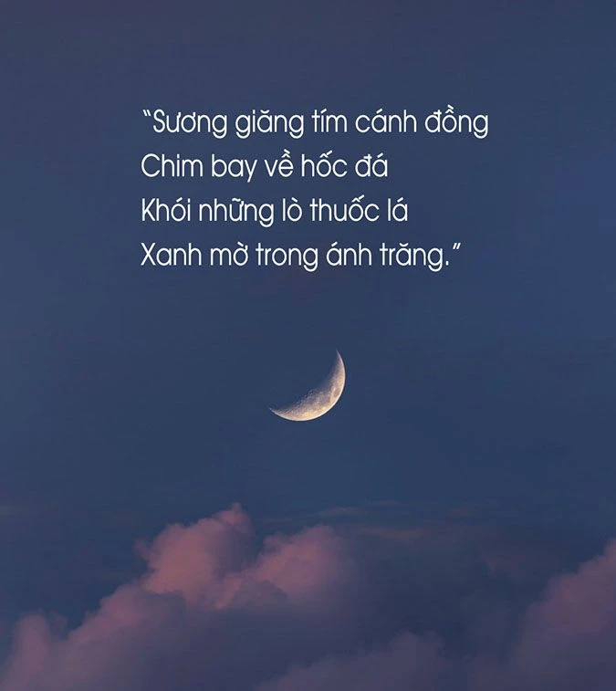 Câu thơ về trăng và vẻ đẹp của cảm xúc con người